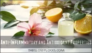 anti-inflammatory and antioxidant properties anti-inflammatory and antioxidant properties