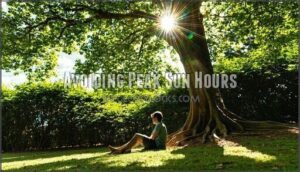 avoiding peak sun hours
