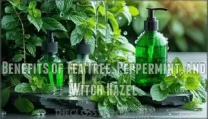 benefits of tea tree, peppermint, and witch hazel