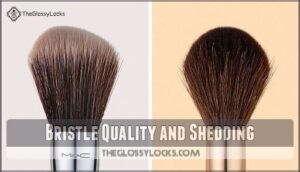 bristle quality and shedding