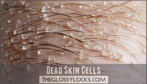 dead skin cells