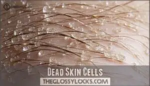 dead skin cells dead skin cells