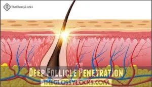 deep follicle penetration deep follicle penetration