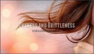dryness and brittleness