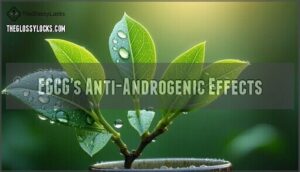 egcg's anti-androgenic effects