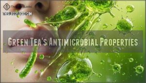 green tea's antimicrobial properties