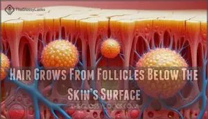 hair grows from follicles below the skin’s surface