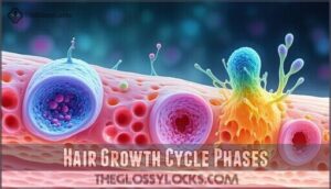 hair growth cycle phases