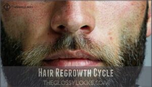 hair regrowth cycle