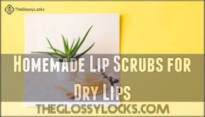 homemade lip scrubs for dry lips