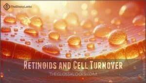 retinoids and cell turnover