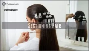 sectioning hair sectioning hair