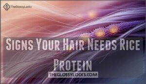 signs your hair needs rice protein