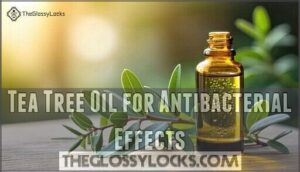 tea tree oil for antibacterial effects