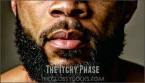 the itchy phase the itchy phase