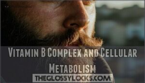 vitamin b complex and cellular metabolism