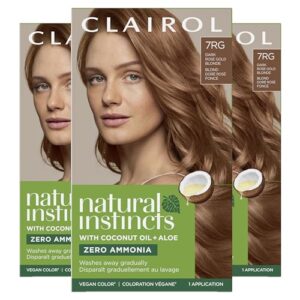 Clairol Natural Instincts Demi Permanent Hair B07L1G51TR