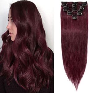 Clip In Hair Extensions Human B07QXZ9J46