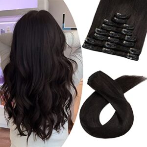 Clip in Remy Hair Extensions B08R1G6MTN