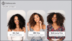 differences between 2a, 2b, and 2c