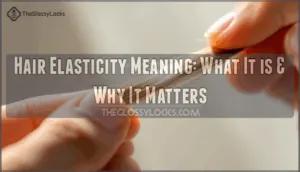 hair elasticity meaning hair elasticity meaning