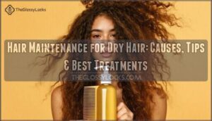hair maintenance for dry hair hair maintenance for dry hair