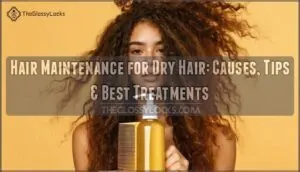 hair maintenance for dry hair hair maintenance for dry hair