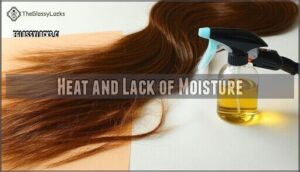 heat and lack of moisture