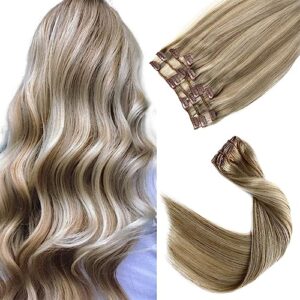 Human Hair Clip in Extensions B07Q4P21N9