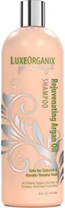 LuxeOrganix Moroccan Argan Oil Shampoo B07ZWJWGPC