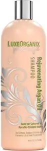 LuxeOrganix Moroccan Argan Oil Shampoo B07ZWJWGPC