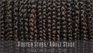 rooted stage/ adult stage