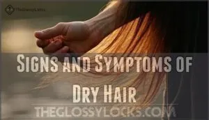 signs and symptoms of dry hair