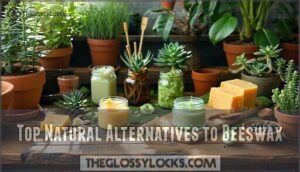 top natural alternatives to beeswax