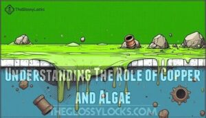 understanding the role of copper and algae