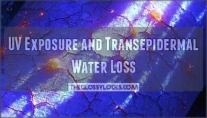 uv exposure and transepidermal water loss