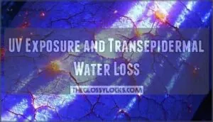 uv exposure and transepidermal water loss uv exposure and transepidermal water loss