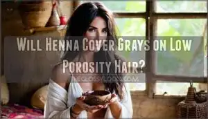 will henna cover grays on low porosity hair