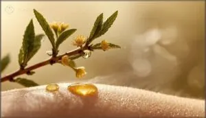 witch hazel for anti-inflammatory effects