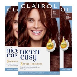 Clairol Nice'n Easy Permanent Hair B07BYYR1TY