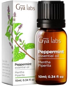 Gya Labs Peppermint Essential Oil B07SHTHNMB