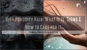 high porosity hair high porosity hair