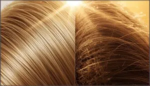 how sun exposure changes hair structure how sun exposure changes hair structure