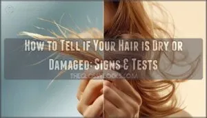 how to tell if your hair is dry or damaged how to tell if your hair is dry or damaged