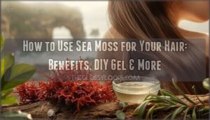 sea moss for your hair sea moss for your hair
