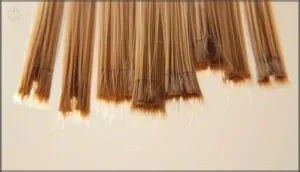 visual signs of split ends visual signs of split ends