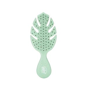 Wet Brush Go Green Mini B08SS8L4N7