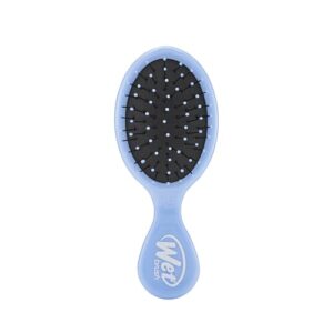 Wet Brush Squirt Detangling Brush, B09RGJPTWQ