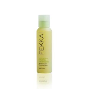 Fekkai Brilliant Gloss Shampoo B081S7KX39