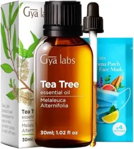 Gya Labs Tea Tree Essential B09PMQGWM1